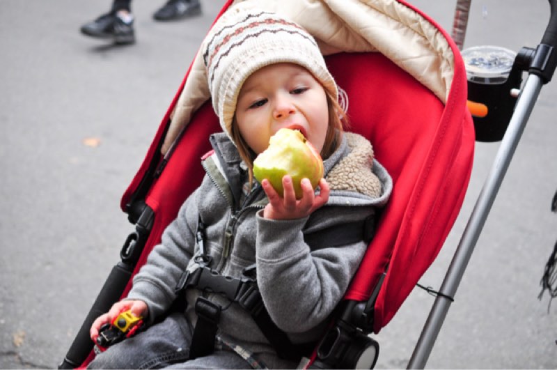 Picture from Apple Harvest Festival